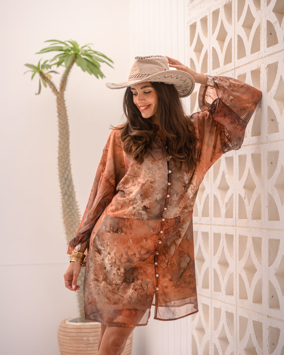 The Desert Haze Chiffon Dress